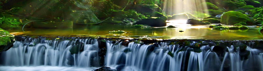 Header Graphic